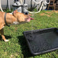 💧 NU 60% KORTING! ☀️ Fonteinpomp op zonne-energie voor vogelbad – 1,4W zonnepaneel, 4 sproeiers en dompelpomp voor vijver, tuin en zwembad 🐦