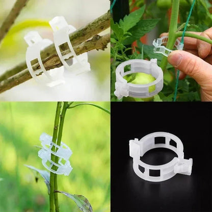 🗜️Klipjes voor klimplanten – Plastic tomatenbinders en plantenbevestigingen 🌱🍅