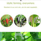 🗜️Klipjes voor klimplanten – Plastic tomatenbinders en plantenbevestigingen 🌱🍅