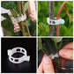 🗜️Klipjes voor klimplanten – Plastic tomatenbinders en plantenbevestigingen 🌱🍅