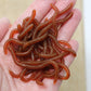 🎣 50% KORTING! 🪱 Zacht aas: regenworm – garnalenaroma, verpakking van 50/100 stuks ✨